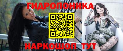 крисы Краснодар