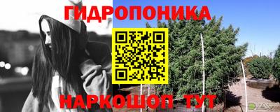крисы Краснодар