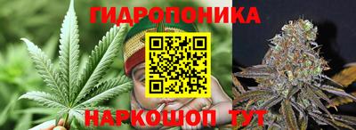 крисы Краснодар